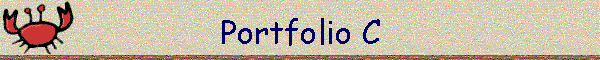 Portfolio C